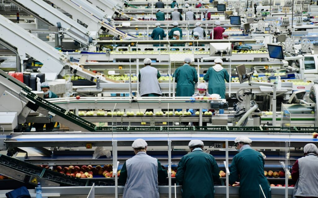Línea de procesado en una planta de industria alimentaria